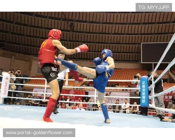 山东省武术协会自由搏击锦标赛获两亚一第五